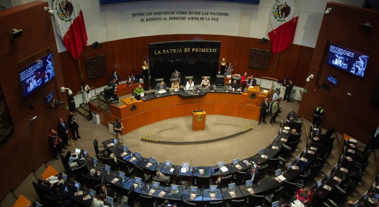 Senado aprueba nueva ley de bienestar animal en México